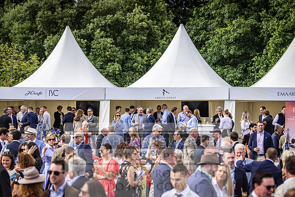 Goffs London Sale 2022-414