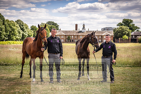 Goffs London Sale 2022-96