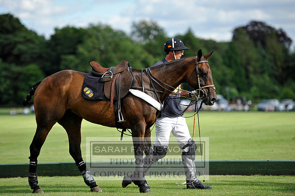 Cirencester Polo CF3 1516
