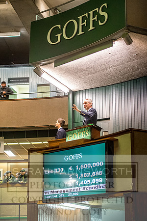 Goffs Orby 2017-688