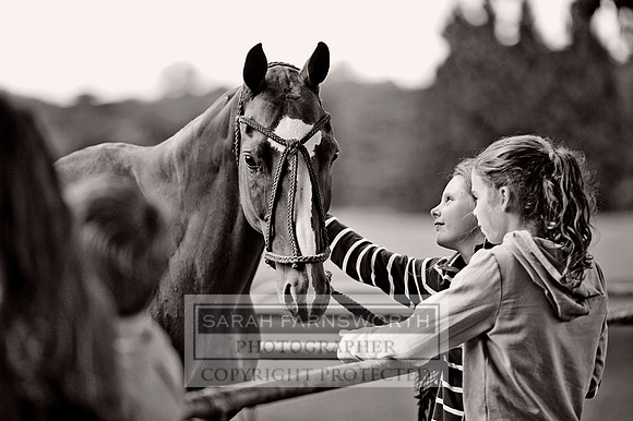 Cirencester Polo CF3 123 bw