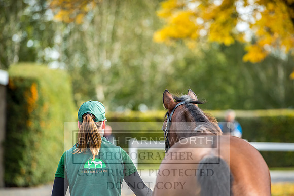 Goffs Orby 2017-178