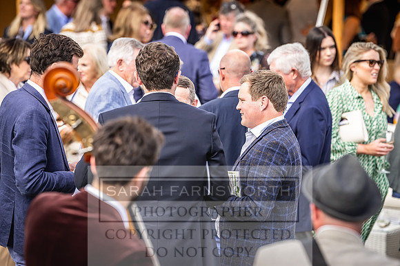 Goffs London Sale 2022-427