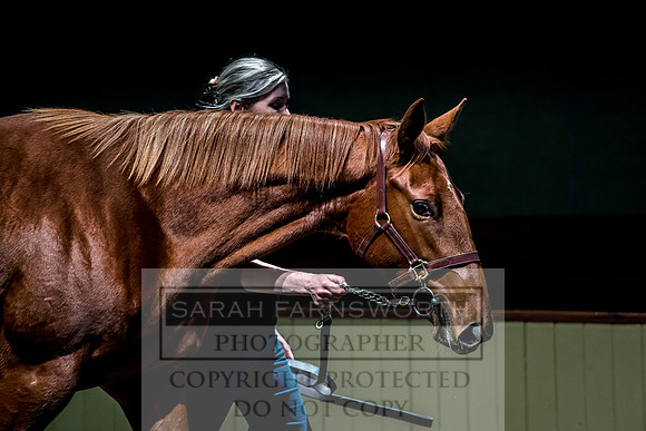 Goffs Orby 2017-230