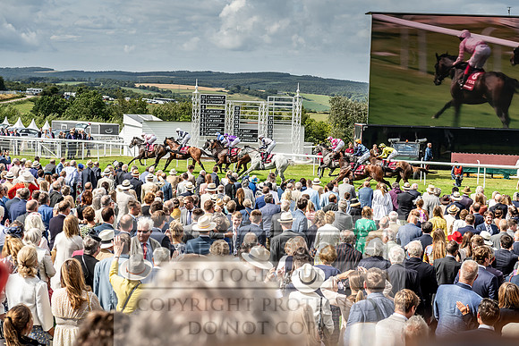 GUK Goodwood Sale 2019-162