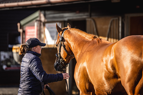 Goffs UK Breeze Up 2022-5