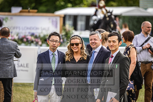 Goffs London Sale 2022-179