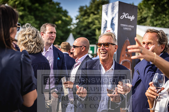 Goffs London Sale 2022-562