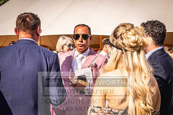 Goffs London Sale 2022-508