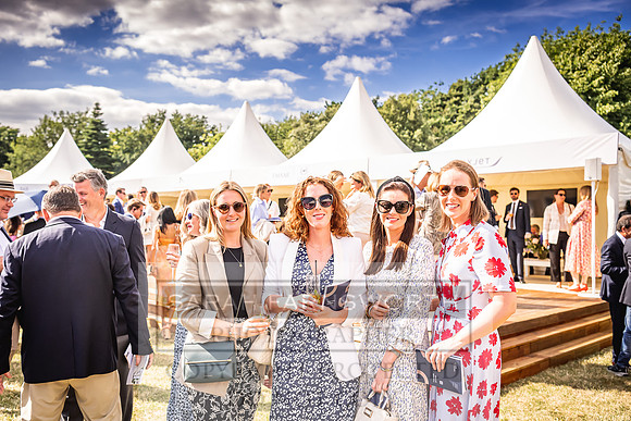 Goffs London Sale 2022-386