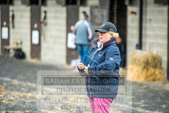 Goffs Orby 2017-557