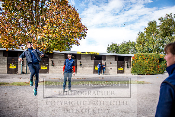 Goffs Orby 2017-276