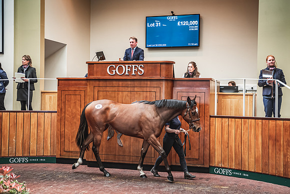 Goffs UK Breeze Up 2022-247