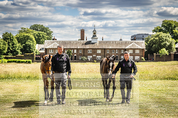 Goffs London Sale 2022-88