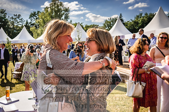 Goffs London Sale 2022-527