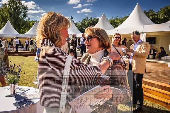 Goffs London Sale 2022-528
