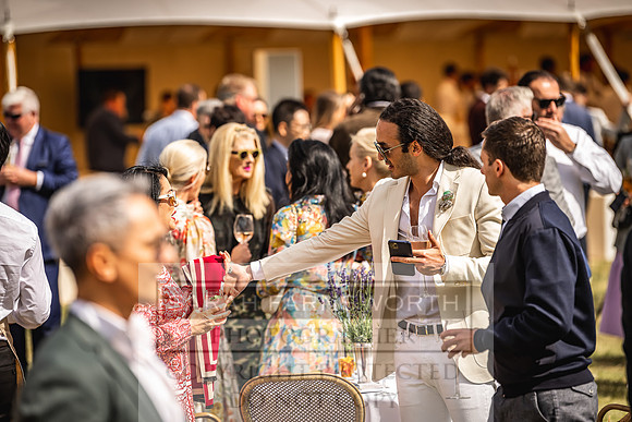 Goffs London Sale 2022-220