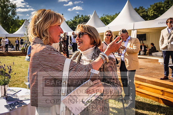 Goffs London Sale 2022-529