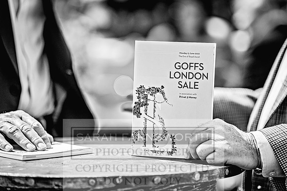 Goffs London Sale 2022-166