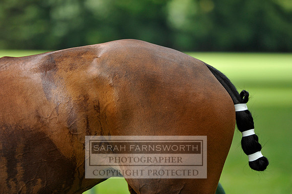 Cirencester Polo CF3 1251
