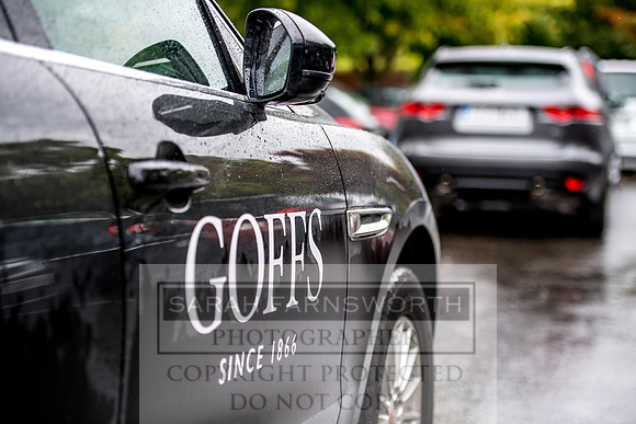 Goffs Orby 2017-714
