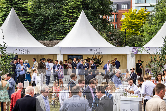 Goffs London Sale 2022-295