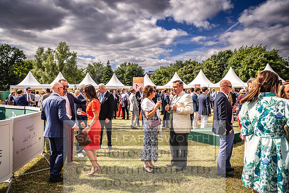 Goffs London Sale 2022-332