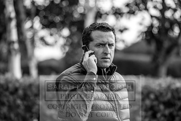 Goffs Orby 2017-291