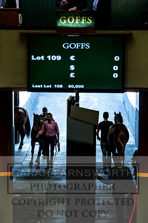 Goffs Orby 2017-217