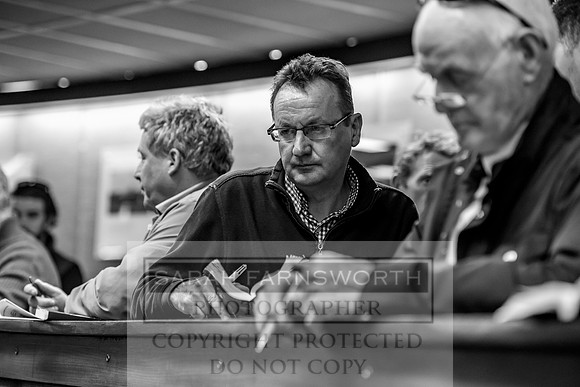 Goffs Orby 2017-303