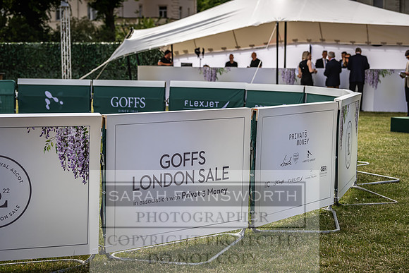 Goffs London Sale 2022-109