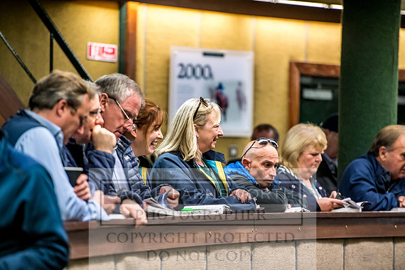 Goffs Orby 2017-170