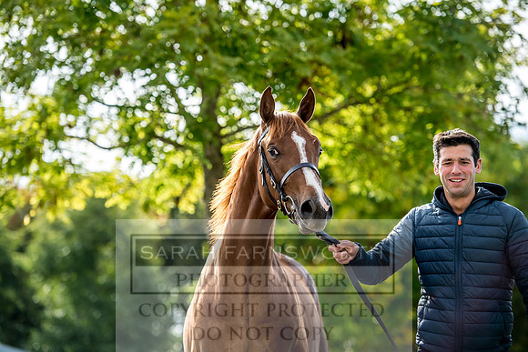 Goffs Orby 2017-264