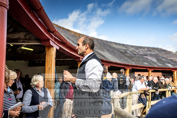 GUK Yorton Sale 2019-360