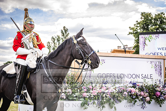 Goffs London Sale 2022-134