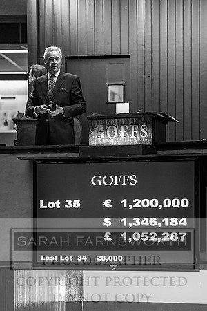 Goffs Orby 2017-201