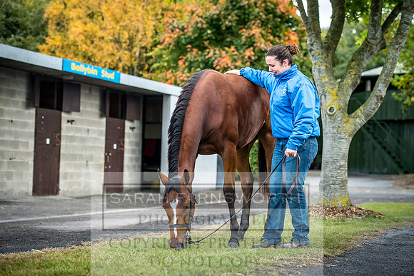 Goffs Orby 2017-58