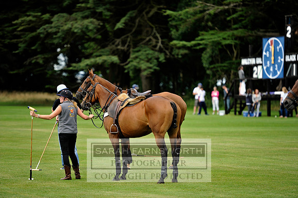 Cirencester Polo CF3 682