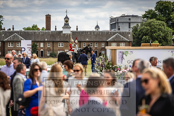 Goffs London Sale 2022-209