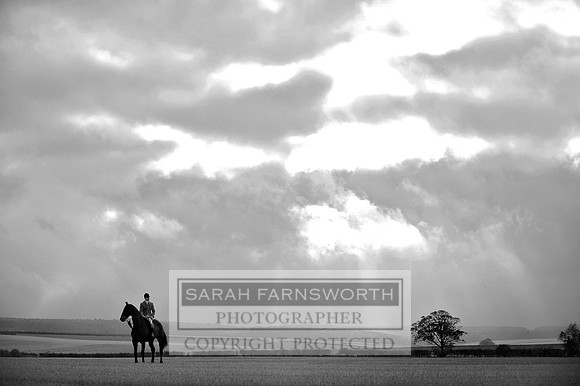 Brocklesby 021113 CF3 736 bw