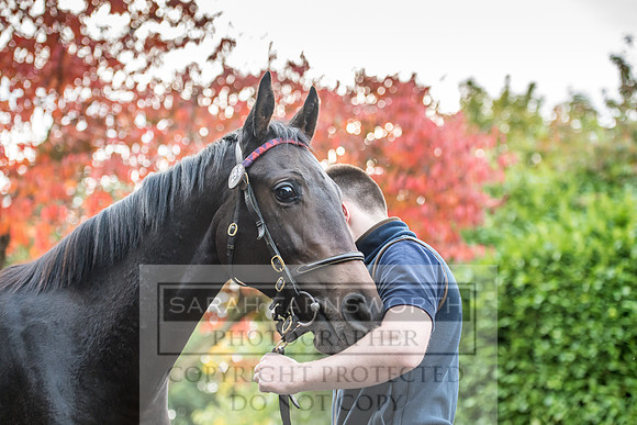 Goffs Orby 2017-29