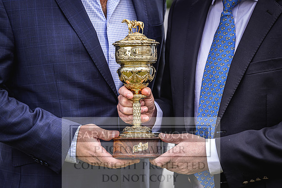 Goffs London Sale 2022-146