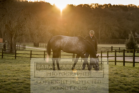 Tweenhills January 2019-89