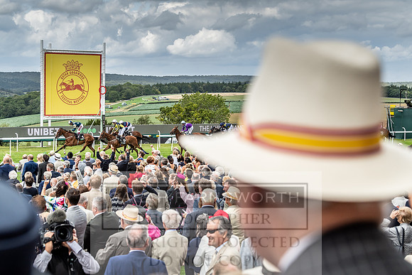 GUK Goodwood Sale 2019-62