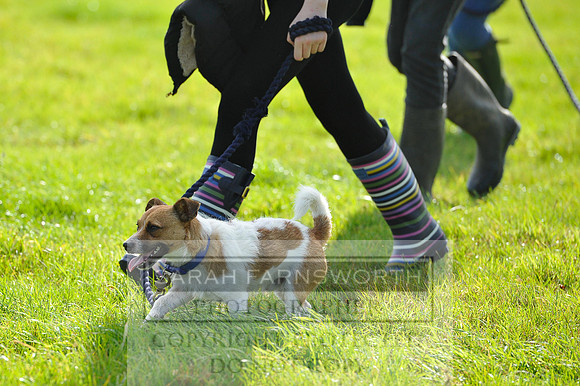Heythrop Fun Ride 2014-361