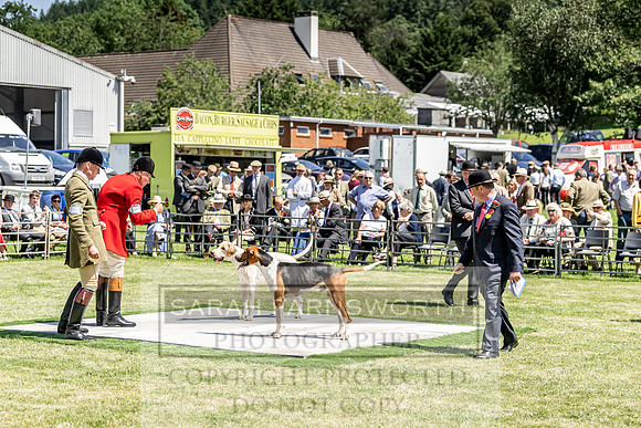 Builth Hound Show 2019-132
