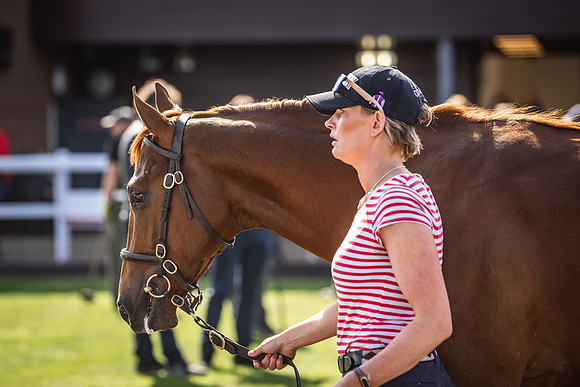 Goffs UK Breeze Up 2022-332