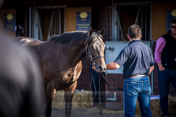 GUK PYS16-59