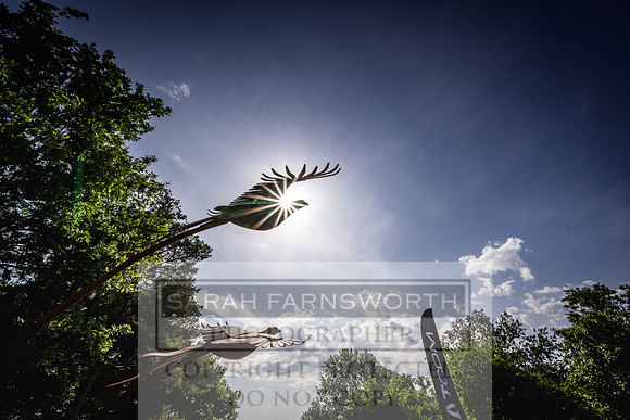 W&G Grimsthorpe Ladies Cup 2025-87