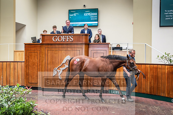 Goffs UK PY24-132